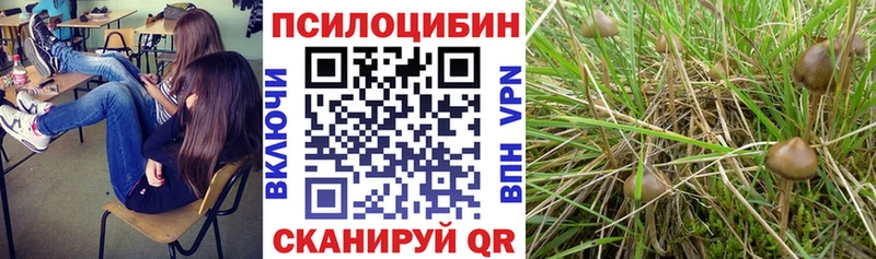 Галлюциногенные грибы Cubensis как найти закладки Руза